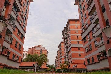 Evergreen Park Acorn and Hazel