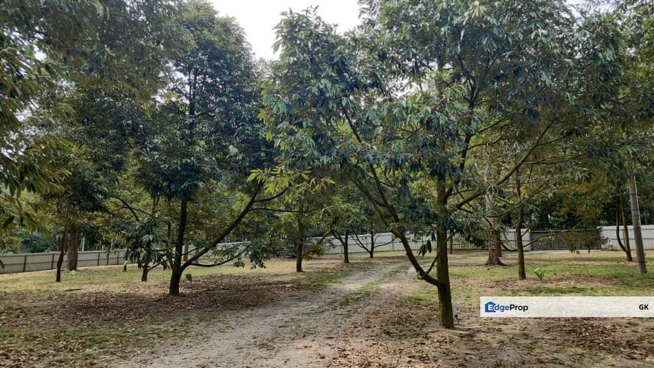 Agriculture Land with Durian & Camping Side @ Broga Hill Semenyih, Selangor, Semenyih