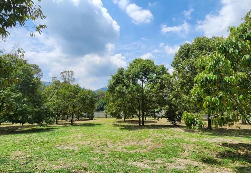 Agriculture Land with Durian & Camping Side @ Broga Hill Semenyih