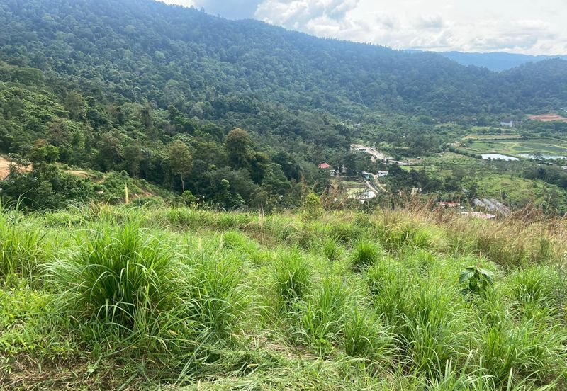 Agriculture Land Hilltop @ Broga Hill Semenyih