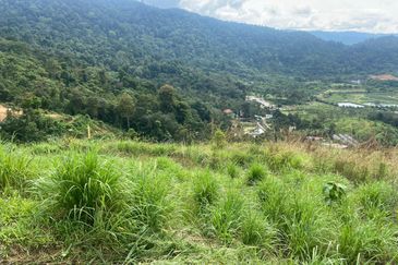 Agriculture Land Hilltop @ Broga Hill Semenyih
