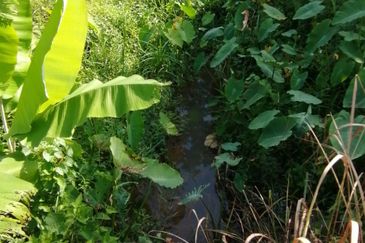 Agriculture Land @ Broga Hill Semenyih 