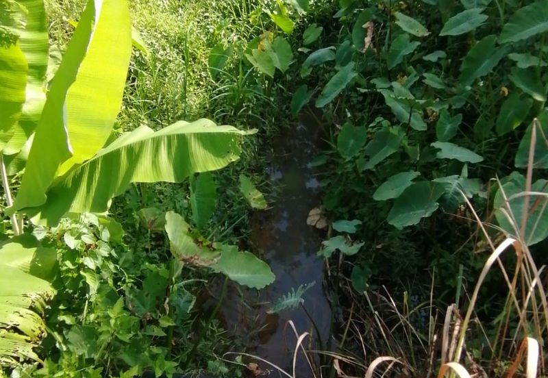 Agriculture Land @ Broga Hill Semenyih 