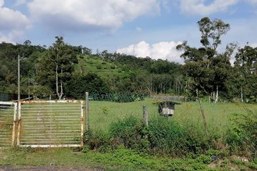 Agriculture Land @ Broga Hill Semenyih 