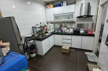 Evergreen Park Cypress