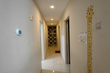 Evergreen Park Cypress