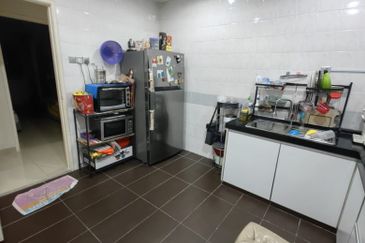 Evergreen Park Cypress