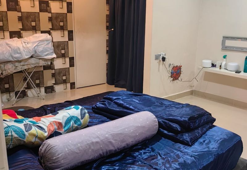 Evergreen Park Cypress