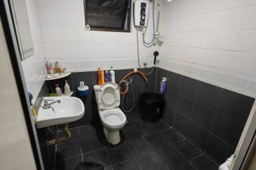 Evergreen Park Cypress