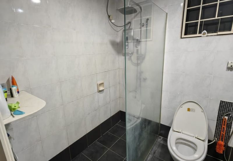 Evergreen Park Cypress