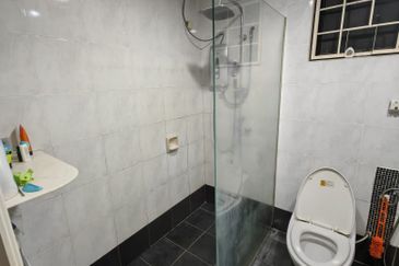 Evergreen Park Cypress