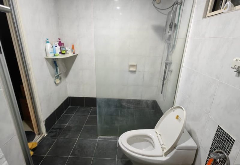 Evergreen Park Cypress