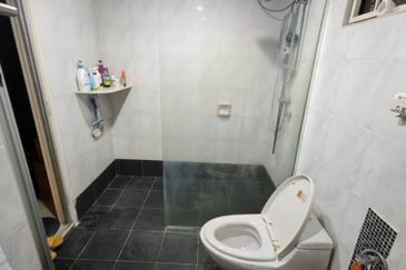 Evergreen Park Cypress