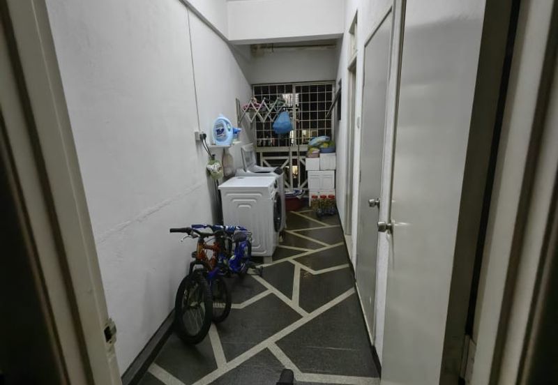 Evergreen Park Cypress