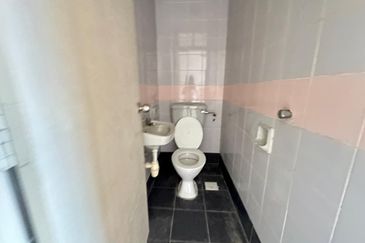 Evergreen Park Cypress