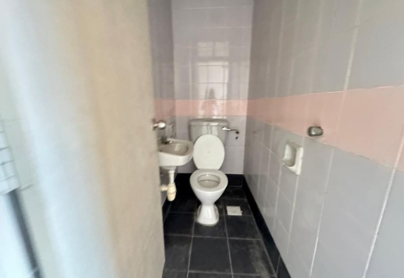 Evergreen Park Cypress