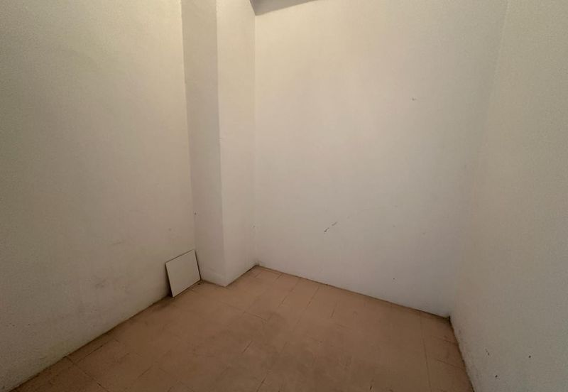 Evergreen Park Cypress