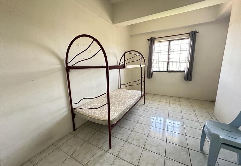 Evergreen Park Cypress