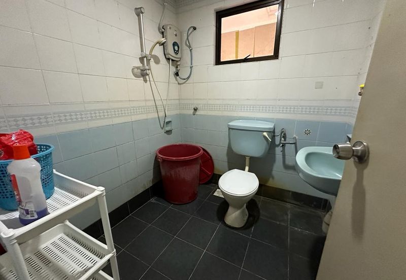 Evergreen Park Cypress