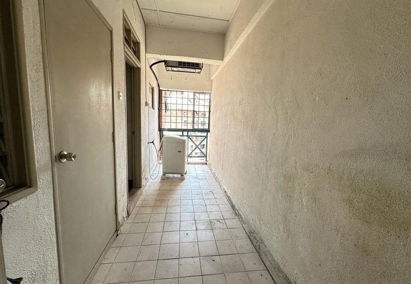 Evergreen Park Cypress