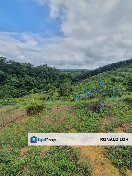 Agriculture Land Kampung Sungai Dua, Karak, Pahang For Sale, Pahang, Karak