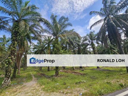 Dengkil Agricultural Land for Sale, Residential Zoning, Flat Land, Selangor, Sepang
