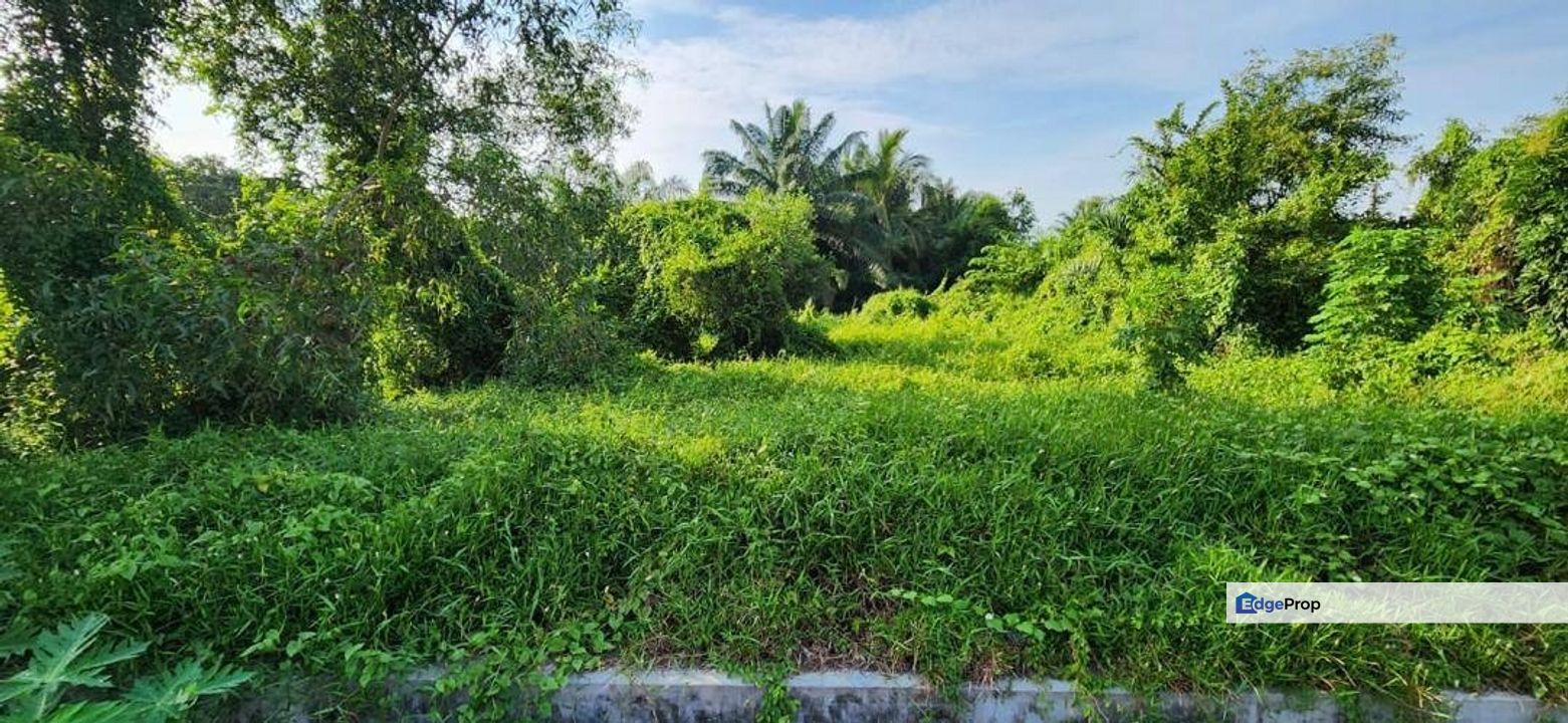 Bukit Rotan Batu 22 1/4 Jalan Klang Kg Pasir Tuntong Kuala Selangor Bungalow Land, Selangor, Kuala Selangor