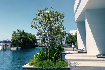 Lexa Residence @ The Quartz