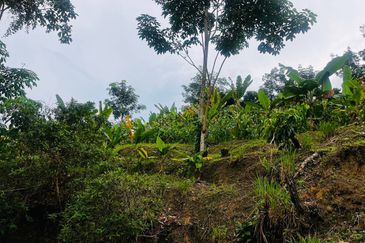 Batang Kali Malay Reservation