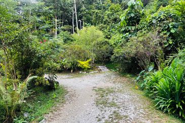 Batang Kali Malay Reservation