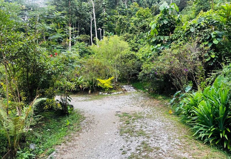 Batang Kali Malay Reservation