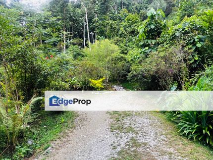 Agriculture Land Rening Batang Kali Farm & Campsite Business FOR SALE, Selangor, Hulu Selangor