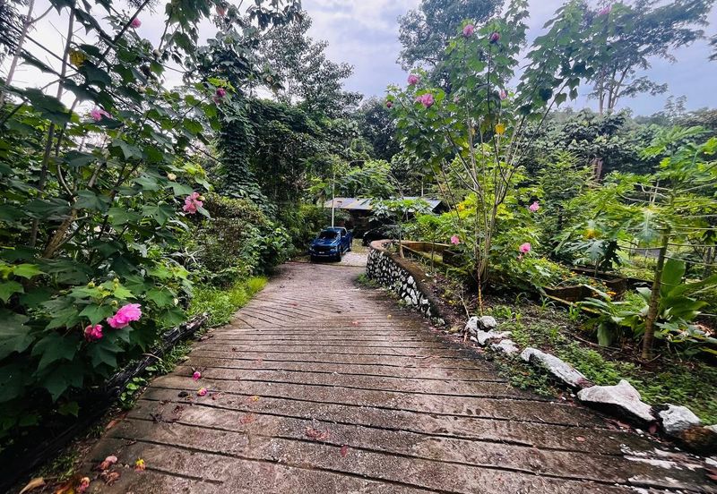 Batang Kali Malay Reservation