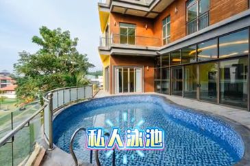 The Lotus of The Mines