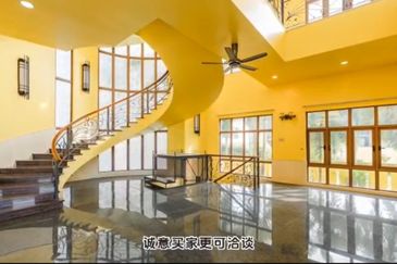 The Lotus of The Mines