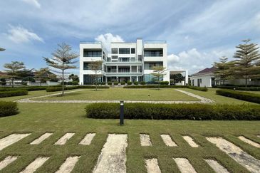 The Lotus of The Mines