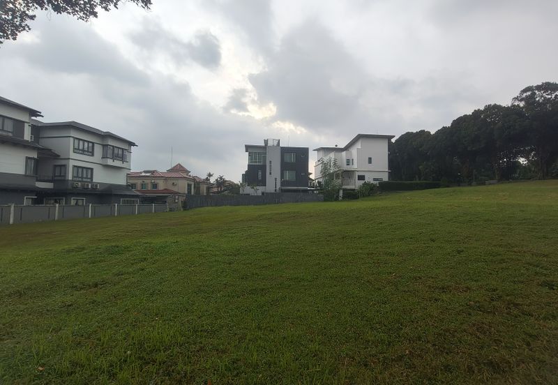 The Lotus of The Mines