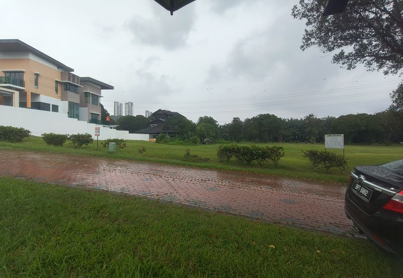 The Lotus of The Mines