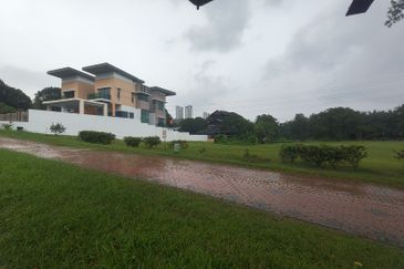 The Lotus of The Mines