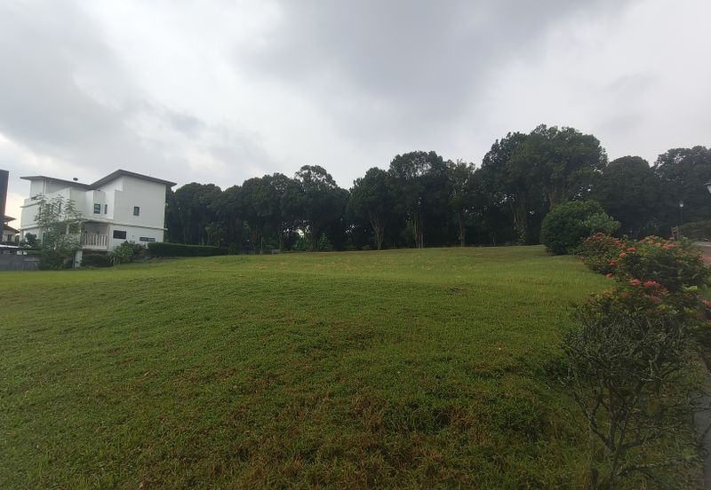 The Lotus of The Mines