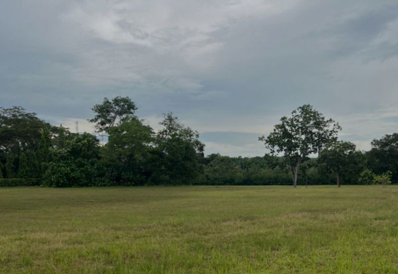 The Lotus of The Mines