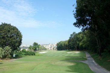 The Lotus of The Mines