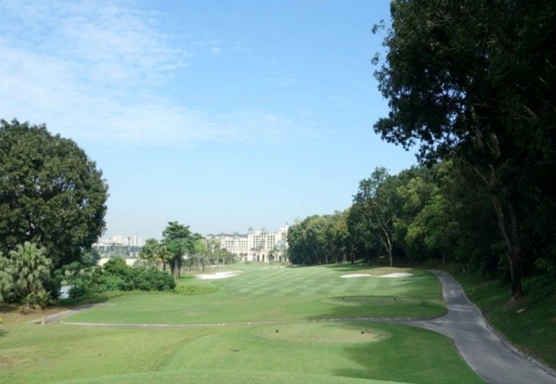 The Lotus of The Mines