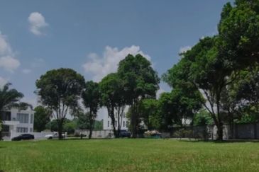 The Lotus of The Mines