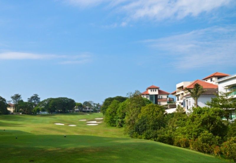 The Lotus of The Mines