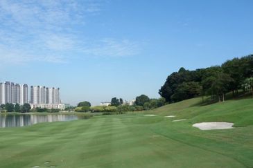 The Lotus of The Mines