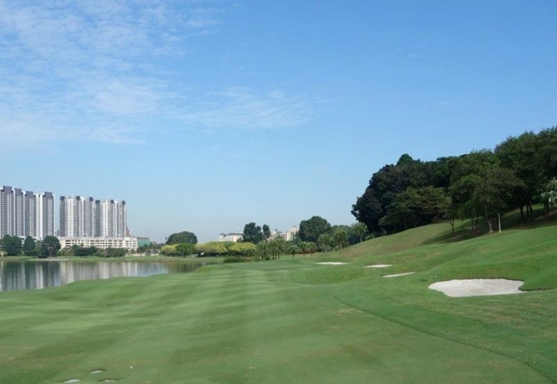 The Lotus of The Mines