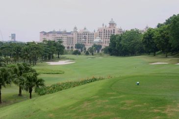 The Lotus of The Mines