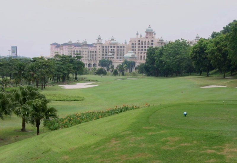 The Lotus of The Mines