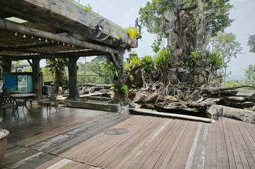 The Lotus of The Mines